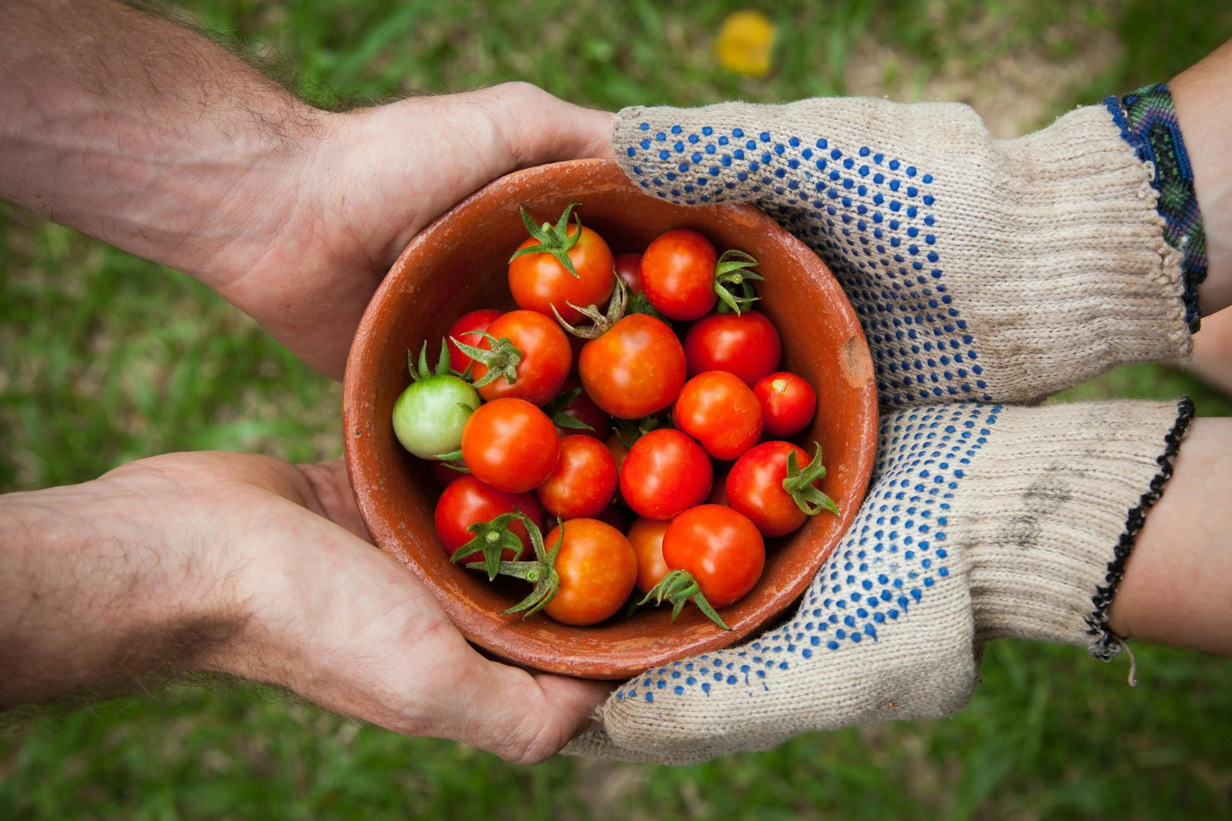 Ensuring Sustenance: The Crucial Role of Logistics in Food Security